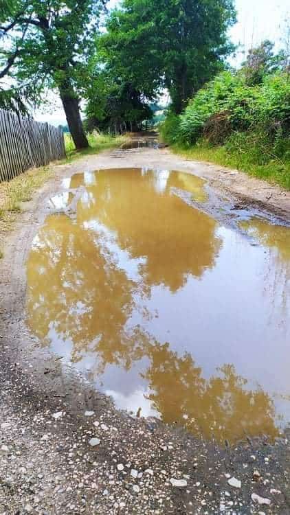 Velika blatnjava bara na makadamskom putu pored drveća