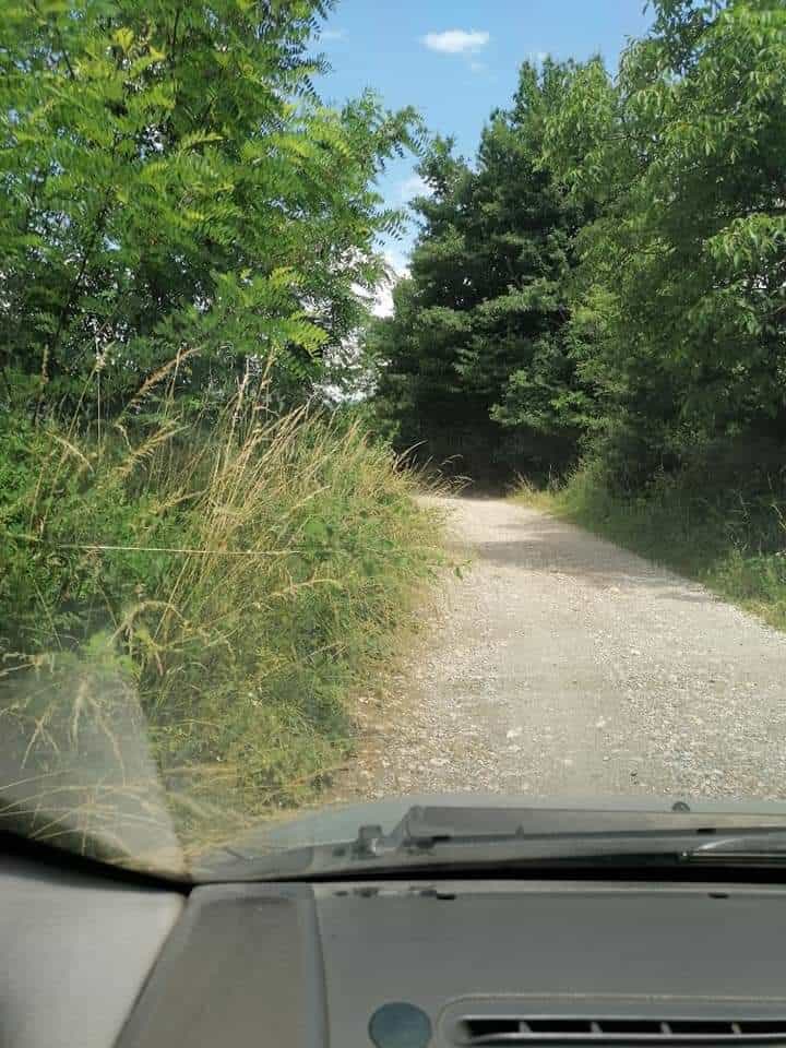 Makadamski put kroz šumu, pogled iz automobila